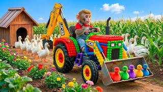 Download Lagu Monkey NaNa Saves the Goose After a Shocking Escape! JCB 3cx Tractor Excavator Help MONKEY Life MP3