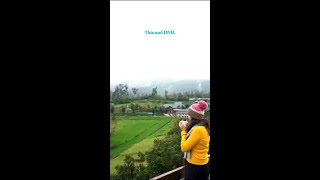 “I need space” hits different with mountain views, misty meadows & horses in the distance. 🏞️📵
