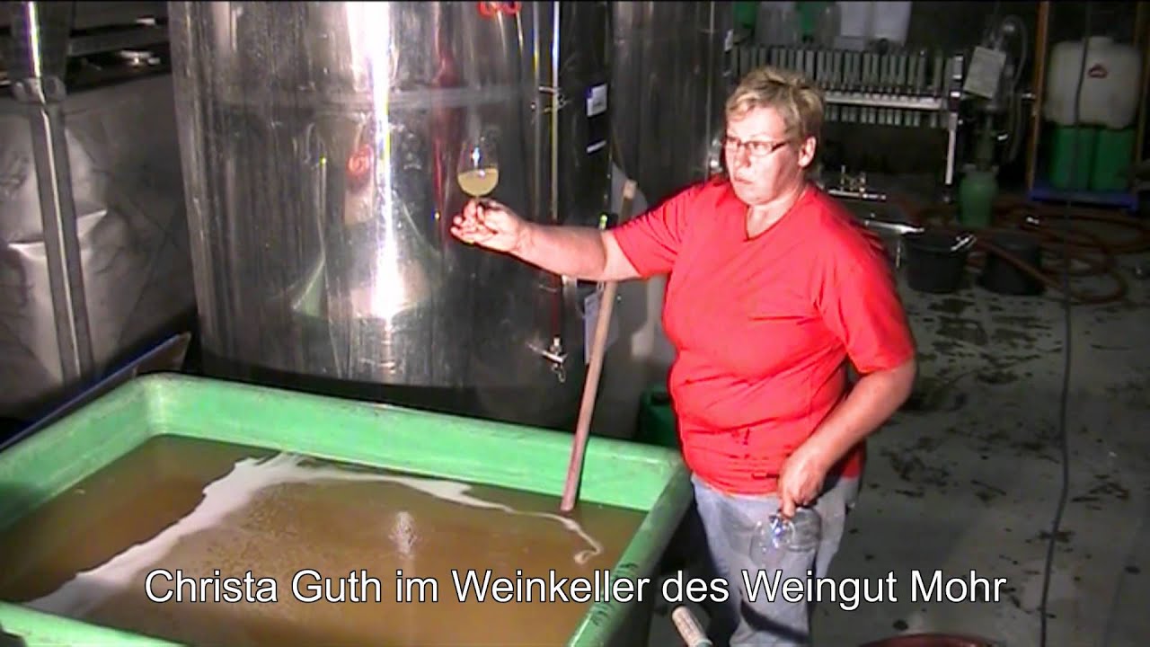 Bensheimer Wein - Federweißer Produktion