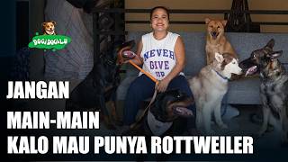 Download Lagu DOGS ARE MY FAMILY, THEY MAKE MY LIFE MORE MEANINGFUL Download Lagu DOGS ARE MY FAMILY, THEY MAKE MY LIFE MORE MEANINGFUL