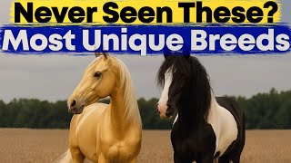 Celebrity 21 Most Unique Horse Breeds Net Worth