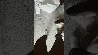 Porn*s? Licht im arsc* und #funny #memes #shorts #fotze #pillemanninderfotze