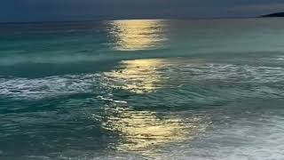 Heard You Needed Vitamin C Today.