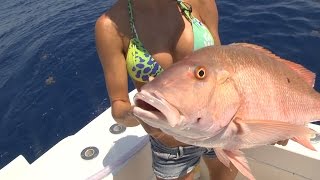 Giant Florida Keys Mutton Snapper