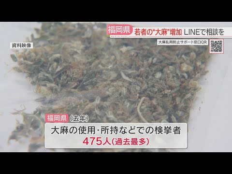 少年少女の「大麻」検挙・補導が過去最多に「使ってしまった」「誘いを受けている」相談をLINEで受け付け　匿名・無料で24時間OK　福岡