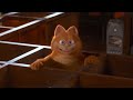 Garfield 2004 Garfield Unintentionally Destroys The House Gets Kicked Out