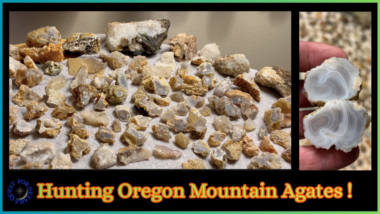 Поиск минералов в горах Орегона: прекрасные агаты! Выпуск 9, эпизод 41, видео № 1242. Автор: Ques...