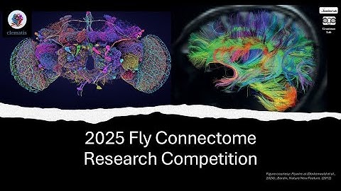 FlyComp2025: International Neuroscience Competition for High School and Undergrad Students