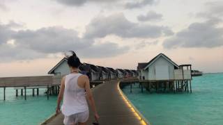Ozen By Atmosphere At Maadhoo Footage Dji Osmo Mobile Iphone7 Plus