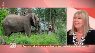 Video du programme TV France ARTE sur le livre LA SAGESSE DES ELEPHANTS par Francoise Malby Anthony