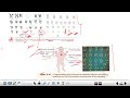 Down Syndrome | Universal Topic for all Biology exam NEET to JRF | #icmrjrf2023