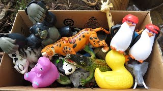 Box filled with various Zoo Animal Toys  🐧