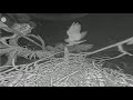 SWFL Eagles ~ While The Eagles Are Away The Owls Will Play! Both GHO&#39;s Visit The Nest! 11.16.23