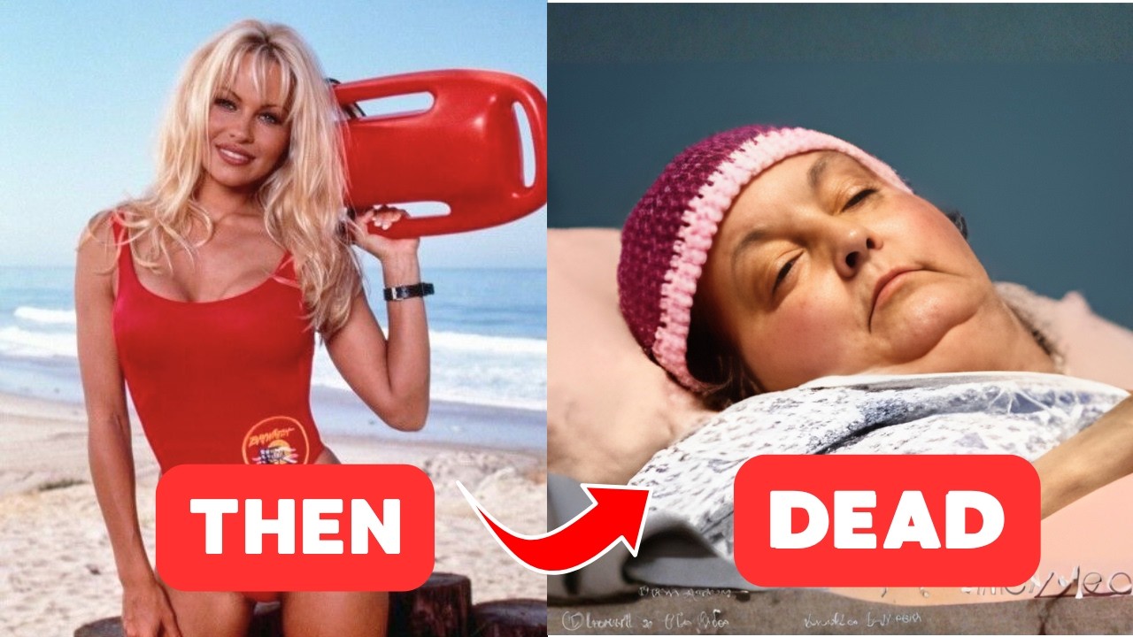 Baywatch 1989 Cast Then And Now
