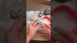 Kako da napravite snježne šišarke? Detaljan video na kanalu.