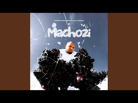 Machozi (feat. Bushoke)