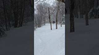 Snowboard Tree Run | ASMR POV Ride #snowboarding #asmr #vlog