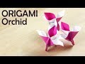 Origami orchid easy instructions for beginner