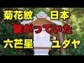 【都市伝説】古代日本とユダヤ民族の驚くべき共通点！隠された繋がりとは？