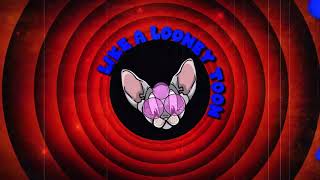 Video thumbnail of "TIMMS Looney Toons Lyric Video"