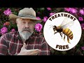 Its time for treatment free beekeeping