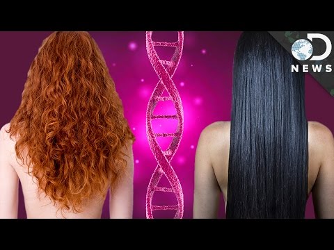 Why Do We All Have Different Hair?