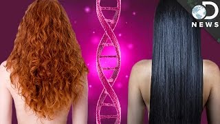 Why Do We All Have Different Hair? Why Do We All Have Different Hair?