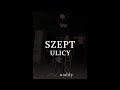 [FREE] SHEDER TYPE BEAT ''SZEPT ULICY'' (PROD. NADDY)