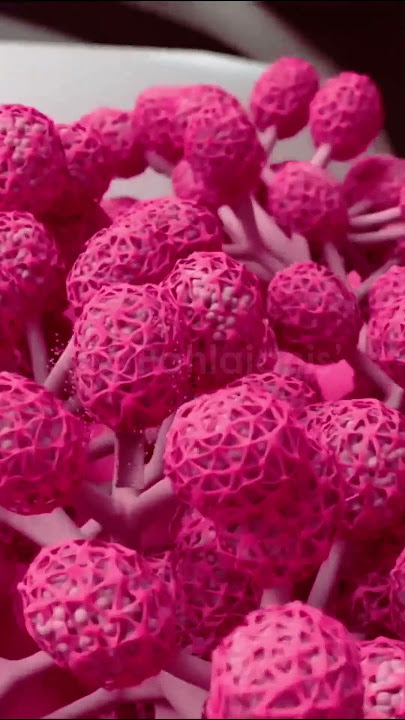 Baby Breastfeeding in 3D | How does breast produce milk? Feeding the Baby #breastfeeding #milk