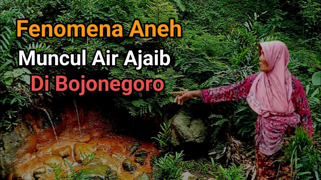 Ditemukan Air Ajaib Di Hutan Gondang Bojonegoro Banyu Kuning Di Gunung Pandan