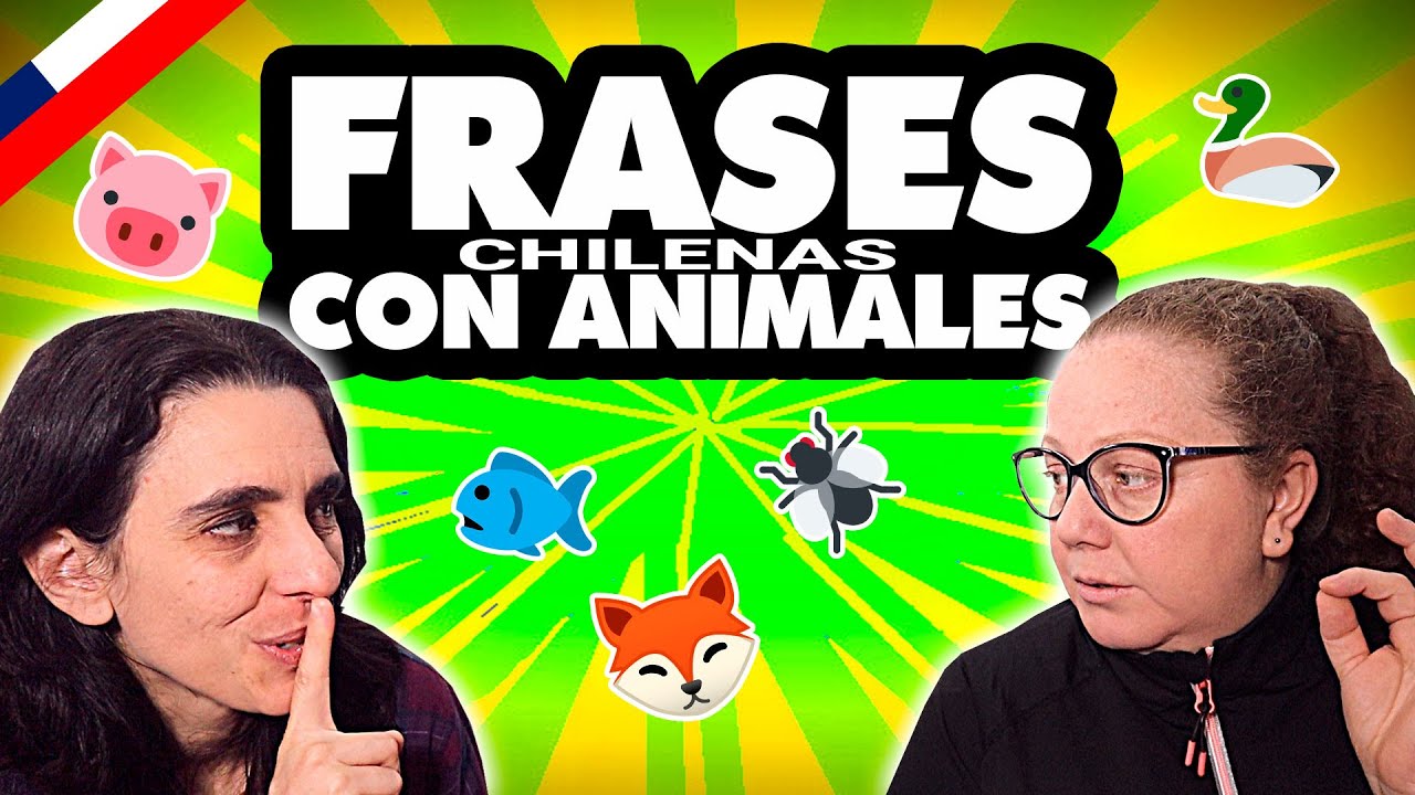 FRASES típicas CHILENAS con ANIMALES ??? | CÓMO HABLAN los CHILENOS -  YouTube