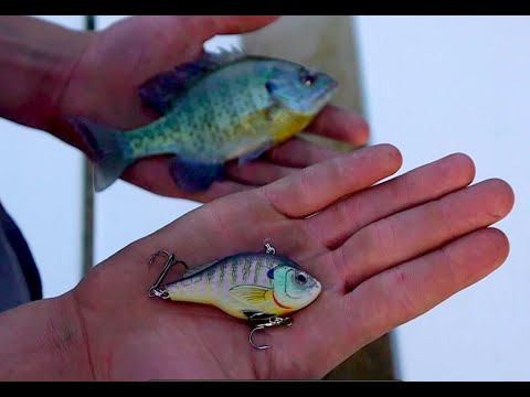 Fishing with Hyper Realistic Baits! Matching the Hatch 