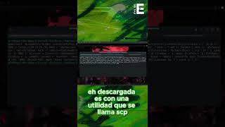Exfiltración de datos con SSH: una técnica básica