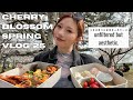 spring in japan | bento-making, speaking in japanese, uminonakamichi flower garden