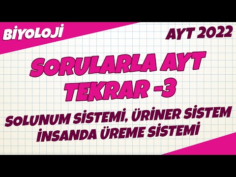 Solunum Sistemi, Üriner Sistem, İnsanda Üreme Sorularla AYT Tekrar -3 | Biyoloji 2022 #hedefekoş