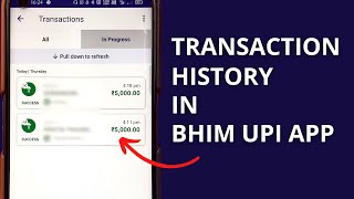 How to Check Transaction History in BHIM App? | BHIM App Payment History screenshot 2