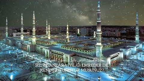 تلاوة هادئة، سورة البقرة، فهد البواردي 💛 Bakara Suresi | Şeyh Fahd el-Bavardi