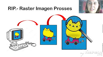 Sistema de Impresión Offset
