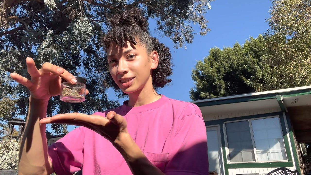 Mugwort - Herbal Smoke Series