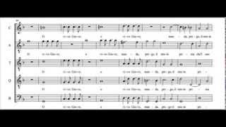 Vicentino - Laura Chel Verde Lauro