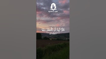 سورة المائدة - الايات 112-113  | سعود الشريم 💙  #قران_كريم  #قران