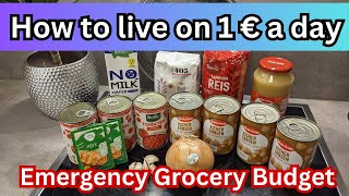 LIVING ON 1 € A DAY FOR A WEEK IN 2024  EXTREME EMERGENCY GROCERY BUDGET