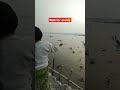 Wait for end😲। #shorts #viral #youtubeshorts