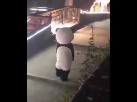 Üzgün Panda