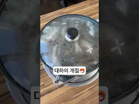 새우먹으러 사천🫶🏻 #shortvideo #오늘뭐먹지 #새우
