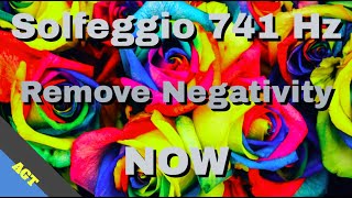 Solfeggio 741 Hz β€ Removes Negativity , Consciousness Expansion