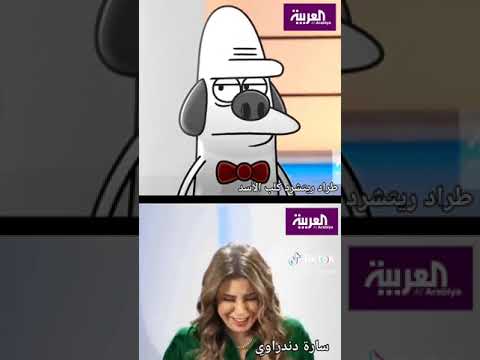 مقابله طراد مع ساره مسامير 