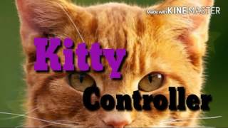 DIY | Cat Face Paint