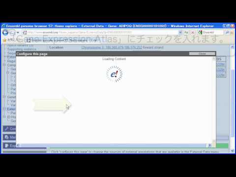 Ensembl Tips ～ArrayExpress の遺伝子発現情報を表示する～