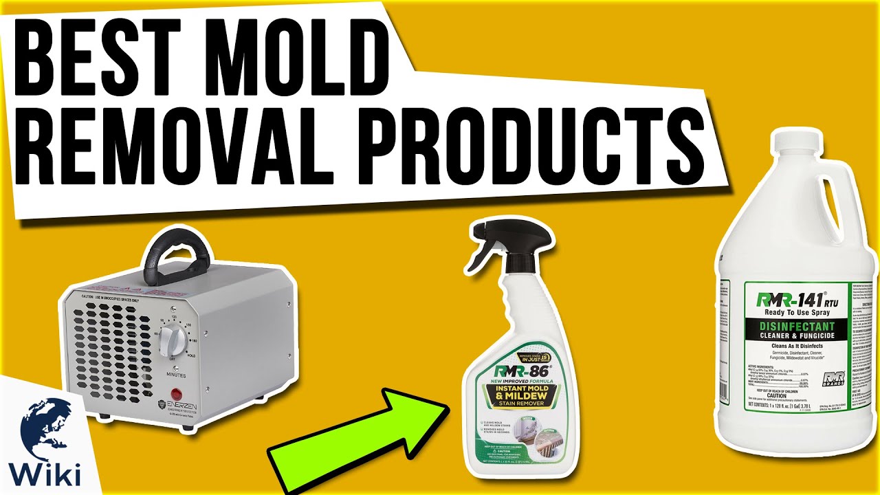 10 Best Mold Removal Products 2020 